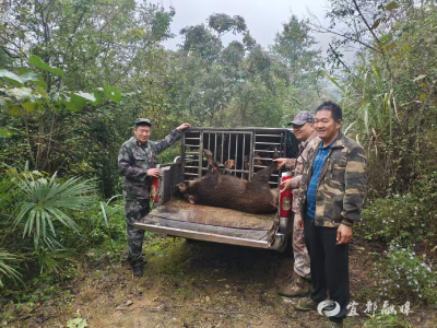 “护秋行动”，守好丰收粮