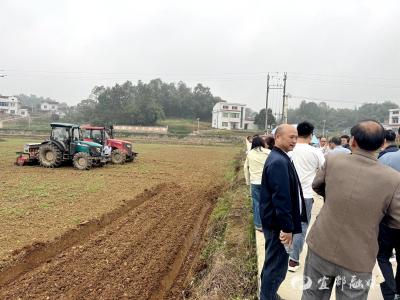 农机“二重奏”响田间：宜都秋冬播培训解锁种粮新技能