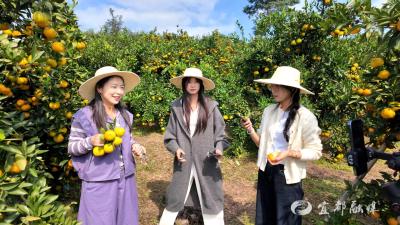 乡音唤客尝“宜都甜”