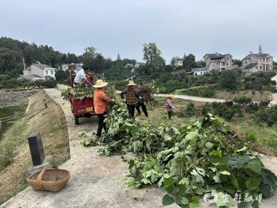 天平山“小积分”激发环境整治“大能量”