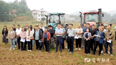 农技人员下乡“把脉”油菜秋冬播有良方