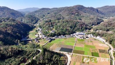 【好支部好支书】六里冲村山货出山记