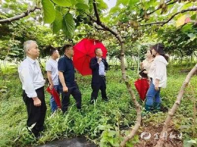 宜都这个村，靠“幺儿子”当家“新媳妇”发家