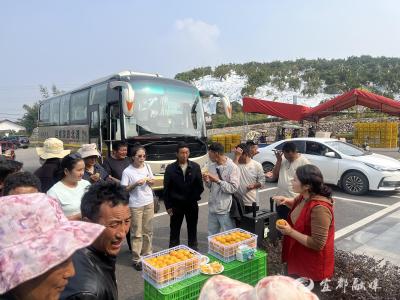 藏汉情浓！西藏交流团赴南桥村共舞同心