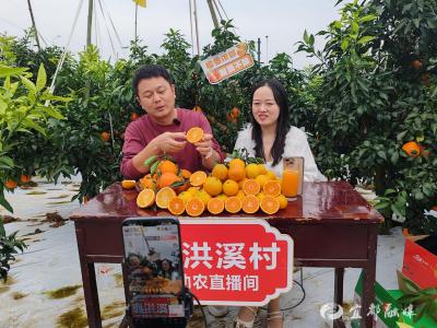 党员干部直播助农首秀，为优质水果“橙”心打call
