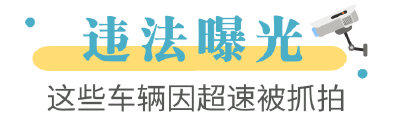 这些超速车辆高清照已锁定！！