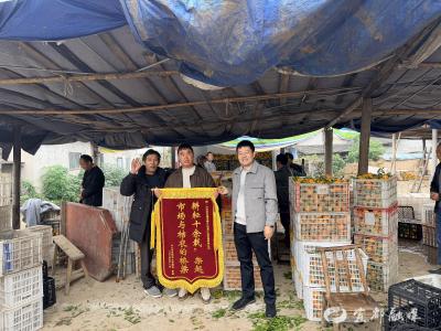 十载助农显担当 锦旗致谢传温情