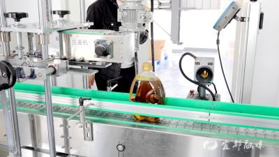 松木坪镇7D菜籽油智能工厂投产