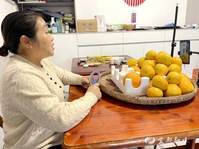 宜昌宜都：没粉丝没经验，她凭啥卖爆家乡柑橘？