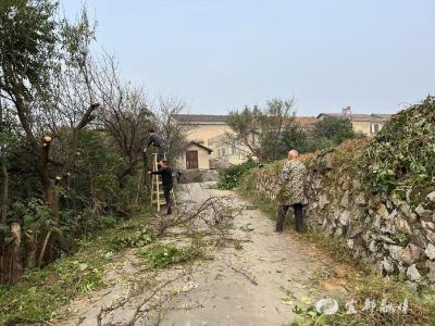 小单元撬动大治理！尾笔村湾落“五岗”延伸治理末梢