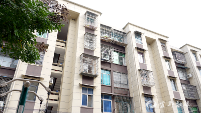 【好支部好支书】红春社区：“党建红”引领“治理红” 集体经济反哺绘就民生新景