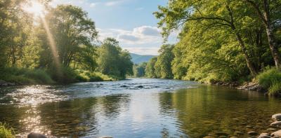 常态化巡河护水，筑牢河堤生态屏障