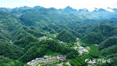 【好支部好支书】弭水桥村的“磁铁”密码