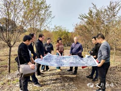 莲花堰社区用脚步“钉”牢家园版图