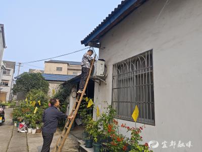 乡贤助力点亮小巷