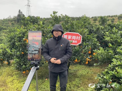 直播架桥，百名粉丝点亮希望