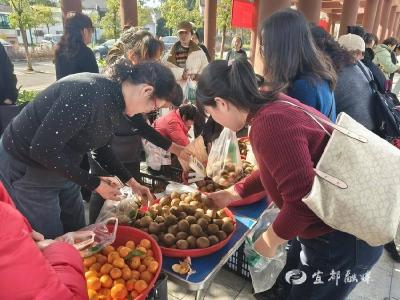 【湖北日报】村社携手赴田园之约 农旅融合绘振兴新篇——东星社区&宜都五村联盟共建一日游活动圆满落幕