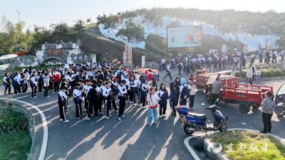 红花套镇南桥村研学基地迎来千名学子
