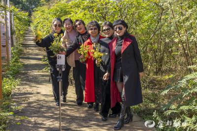 上山下乡：城里人爱上新农村