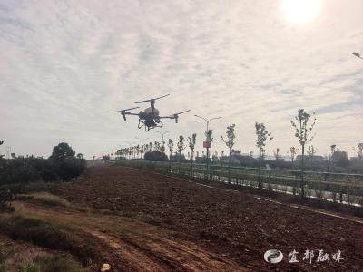 科技“耕”新，绘就乡村“丰”景