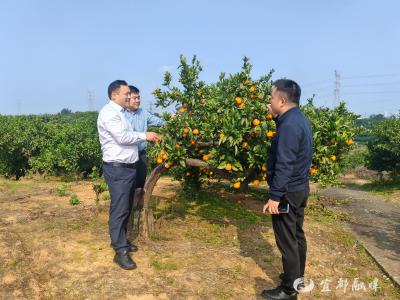 手写信“喊”来北京客，这场 “双向奔赴”太动人！