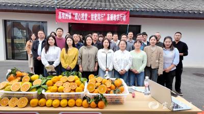 高坝洲镇开展“橙心橙意·甜蜜同行”直播助农行动