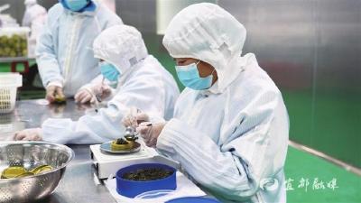 【三峡日报】“宜路通”赋能清江鲟鱼“畅游”海外