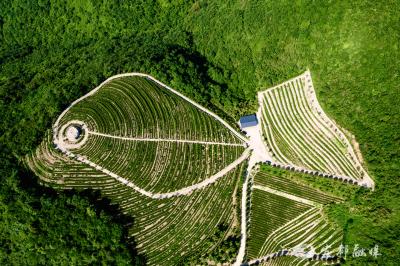 从“深山无人识”到“网红打卡地”，双井寺村凭啥逆袭？