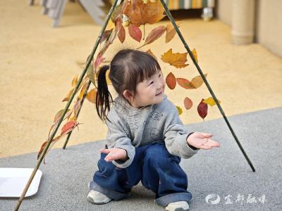 在这里，亲子共搭一顶“落叶帐篷”