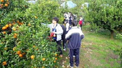 柑园变课堂！宜都这个村为何吸引深圳两千学子打卡？