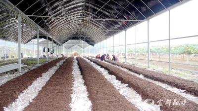 五眼泉镇：走访走出实效 贴心服务暖企惠民