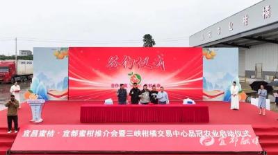 300吨宜都蜜柑出发欧亚七国！