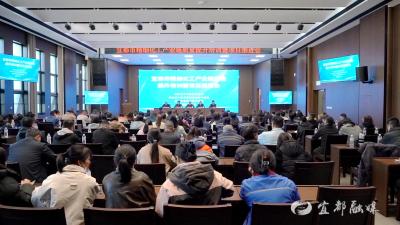 省市场监管局调研组来宜都调研