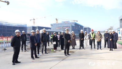 市人大常委会组织在宜省、宜昌市人大代表开展集中视察