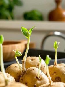 宜都发布冬季食品安全消费提示