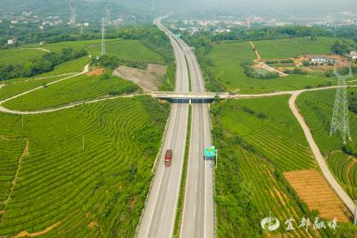 我的家乡大堰堤