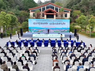 2025年湖北省保护野生动物宣传月·候鸟守护行动启动仪式在宜都举行