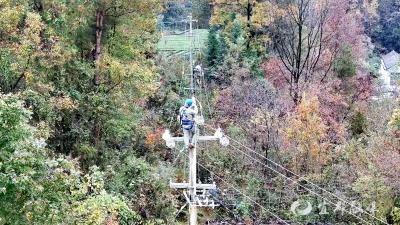 宜都供电开展10千伏何栗线支线“兵团化”综合检修