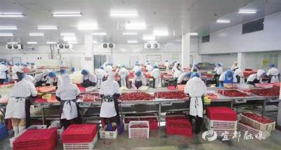 【三峡日报】建立渔业标准化体系 护航水产高质量发展