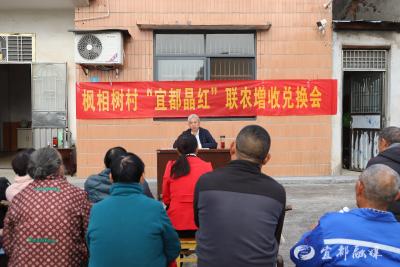 增收“黄金果” 换出种植户真金白银