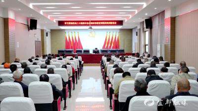 【学习贯彻党的二十届四中全会精神】高坝洲镇召开学习贯彻党的二十届四中全会精神宣讲报告会