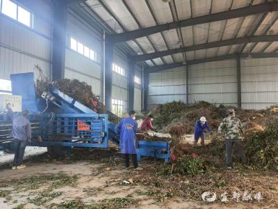 “点草成金”：农业废弃物有了新身价