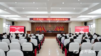 【学习贯彻党的二十届四中全会精神】王悦在姚家店镇宣讲党的二十届四中全会精神