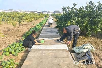 30余元搞定行路之忧