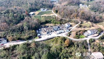 【好支部好支书】实干书记罗玉蓉：脚下沾泥土云端拓销路