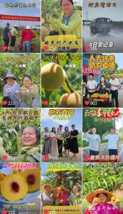 养在“深闺”人渐知