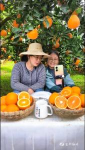 直播助农“橙”意，从9个订单开始……