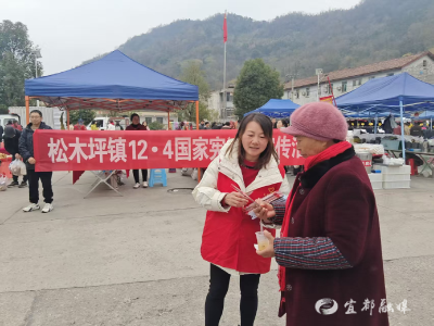 逛庙河大集 学宪法知识