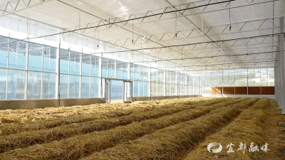 监督走访解决企业用电难题