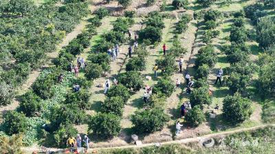 惠民助农 “益”路同行